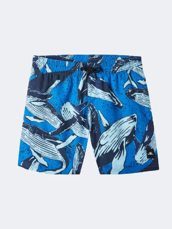 Modern One-Pieces for Trendy -ONeill Cali Print 13 Inch Boys Beach Swim Short Blue Whale